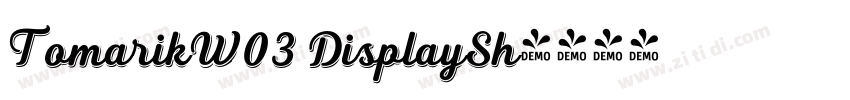 TomarikW03 DisplaySh字体转换
